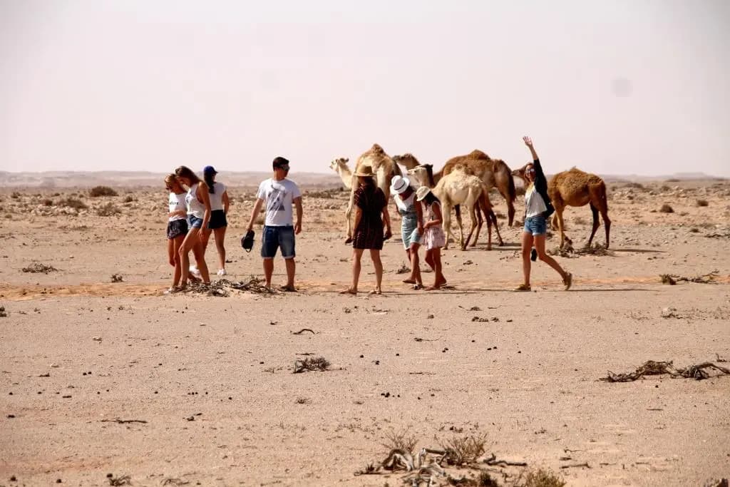 Explore Desert Excursions in Dakhla with Hotel Moukawama